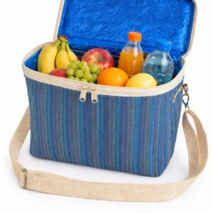Picnic Cooler Bag